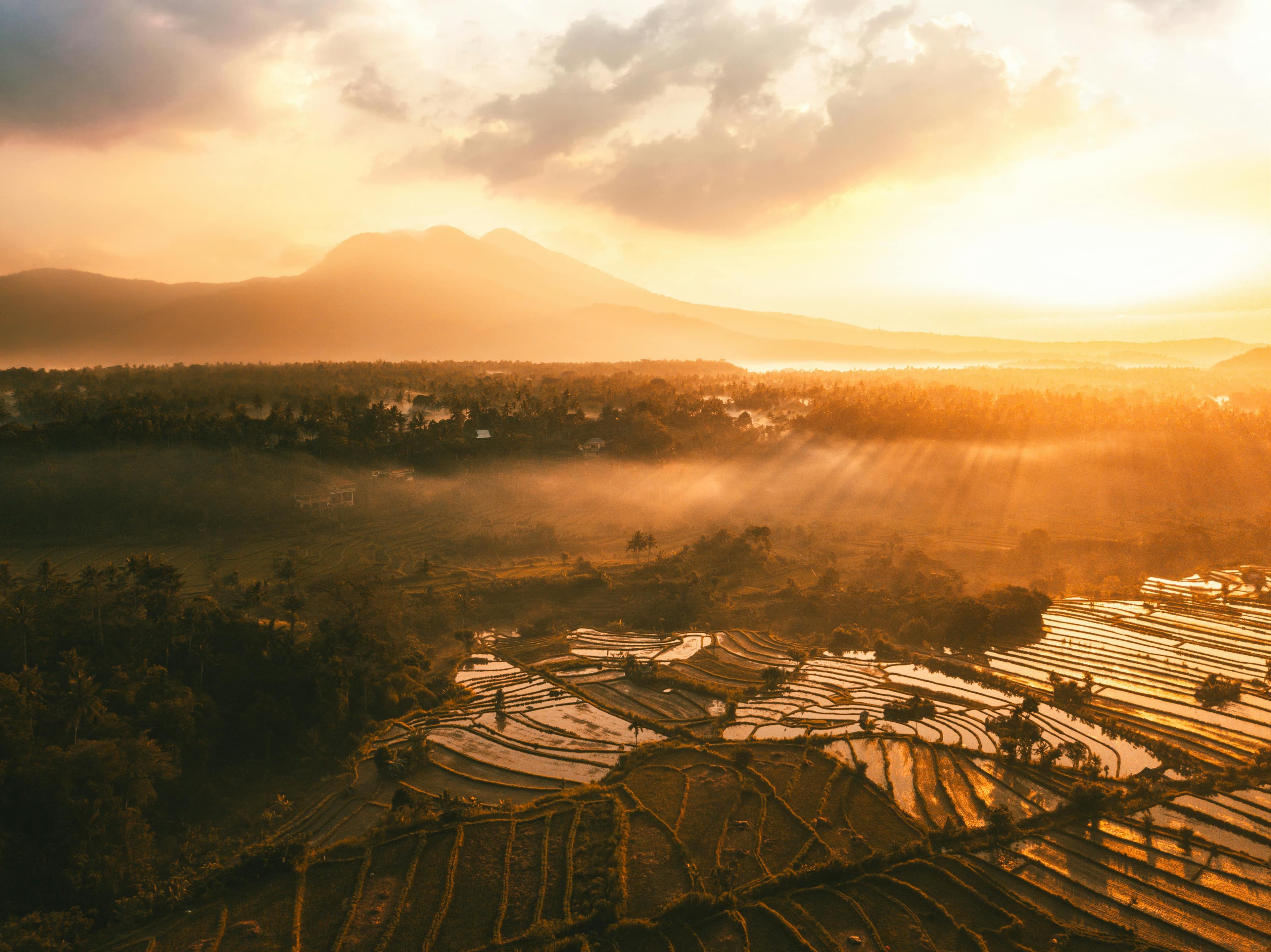 Bali Paradise Escape